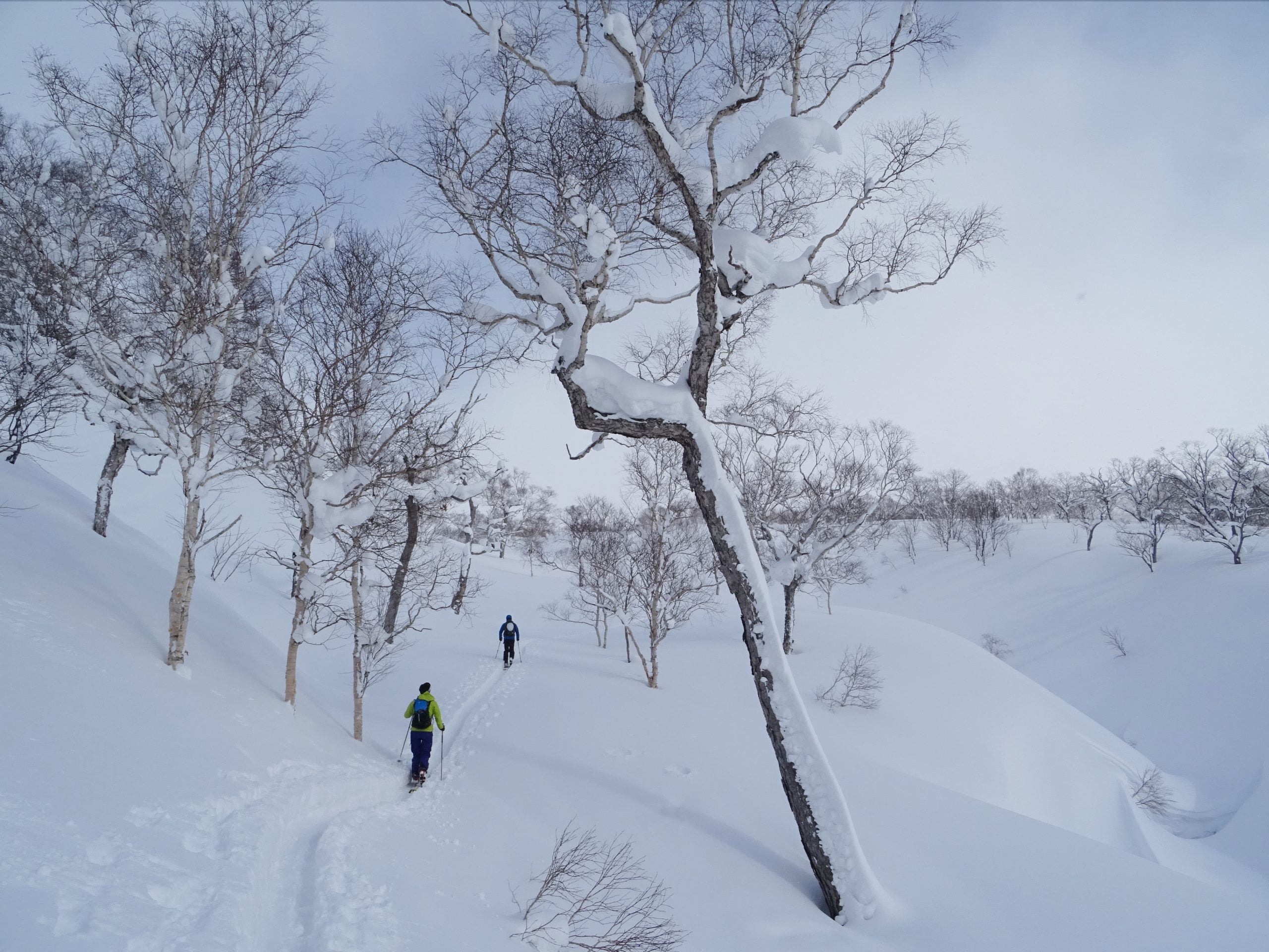 Japón, esquí de montaña en la tierra del sol naciente