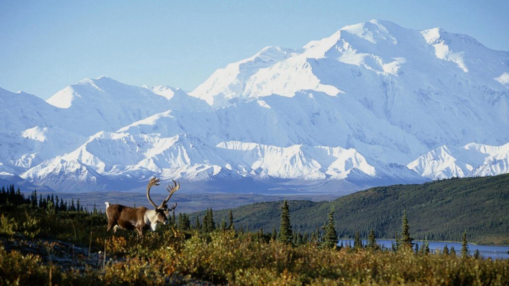 Senderismo en Alaska
