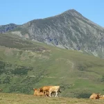 Ascensiones en los valles del Nansa y Saja y Alto Campoo, Cantabria. Cordillera Cantábrica