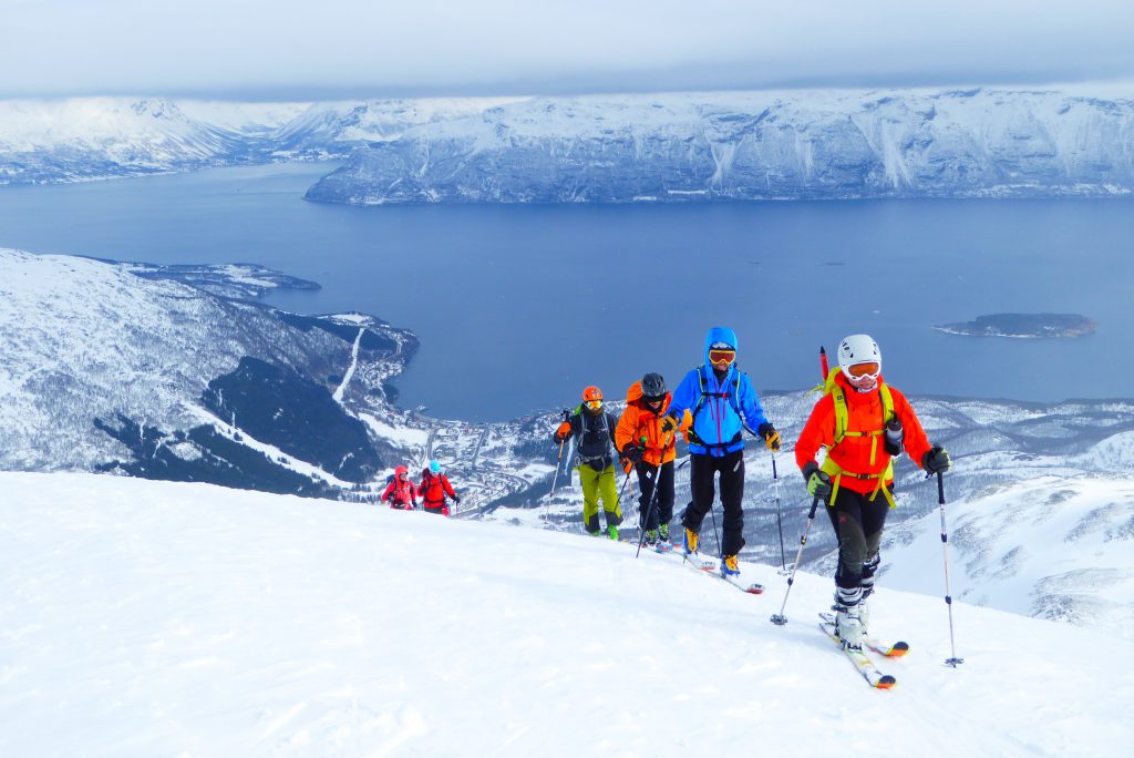Grupo de esquiadores de montaña en ambiente de fiordos invernales en Noruega