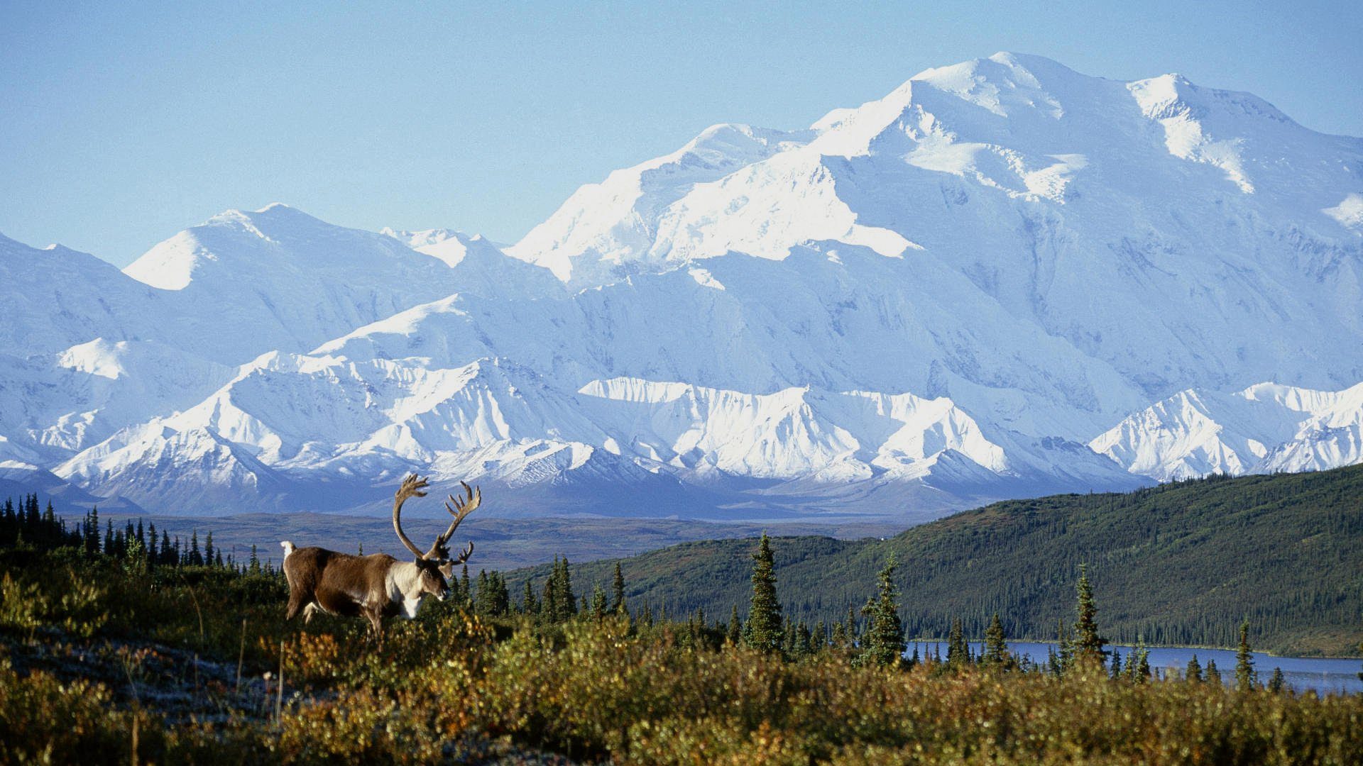 trekking en Alaska, EEUU